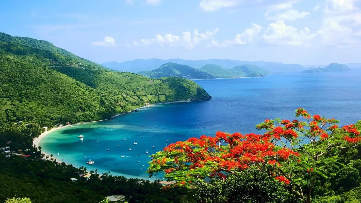 电子智能系统节能